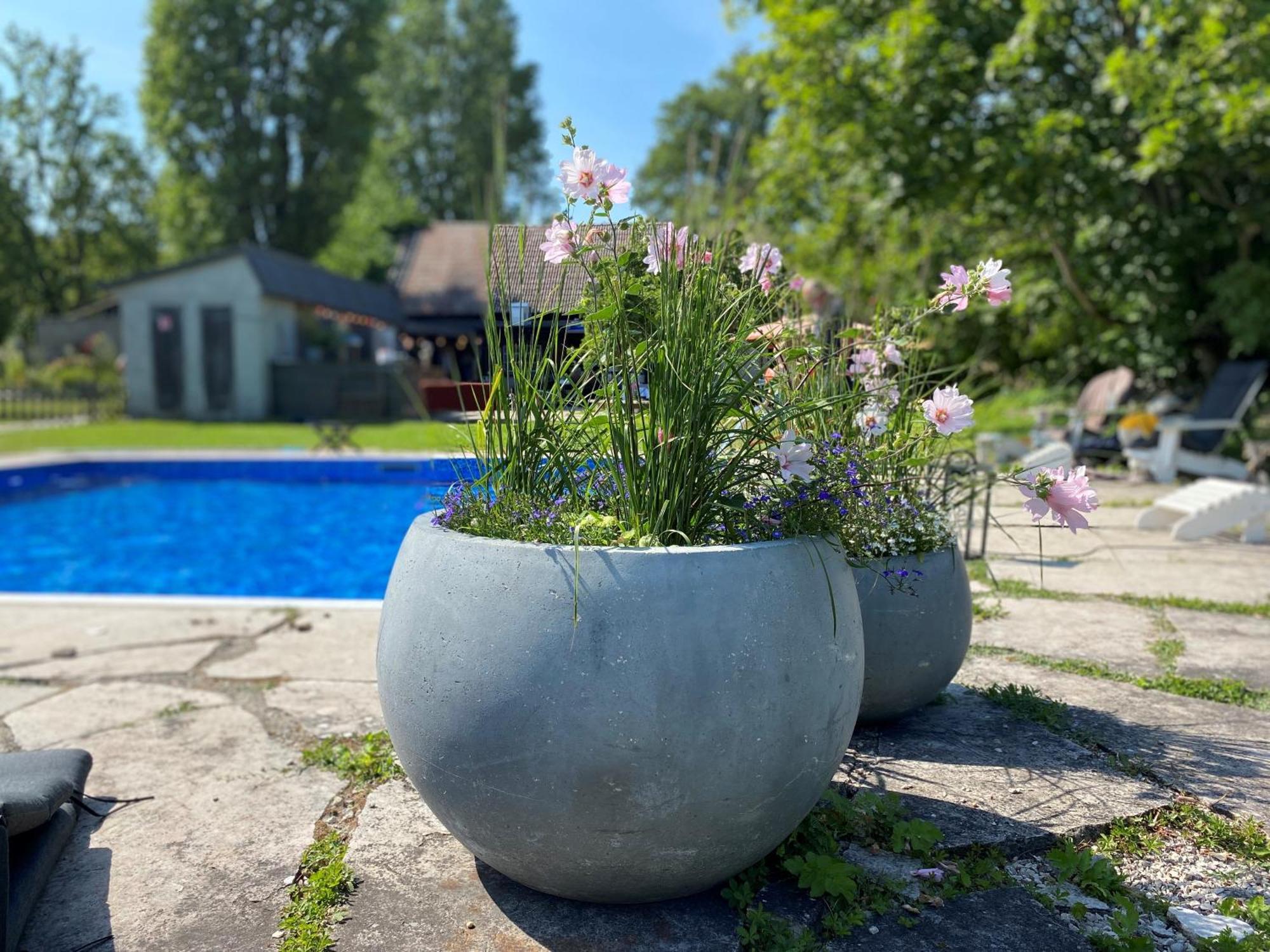 Gra Gasen Hotel Burgsvik Екстериор снимка